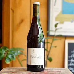 Pinot Noir 2025 - Hervé Villemade