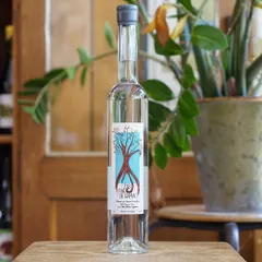 Eau de Vie “Fine de Gamay” 2018 - Jules Métras
