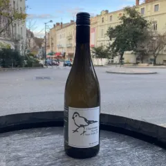Chardonnay Novelin sous voile