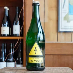380 Volts 2024 - Milan Nestarec