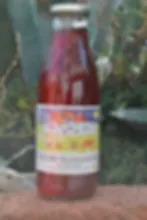 L'Ecole Buissonnière (1L)
