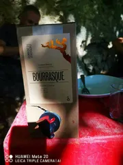 Bourrasque (BIB 3l)