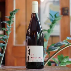 Gamay 2025 - Hervé Villemade