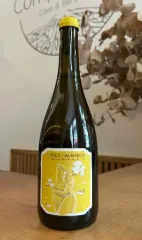 Champagne Thomas de Marne - Côte des Bar - Coteau Champenois Blanc
