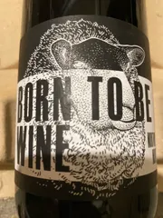 Born to be wine 2021, mas du mouton noir