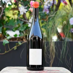 LBL 2024 - Noëlla Morantin