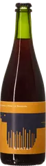 Kuntur