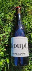 Goupil 2021