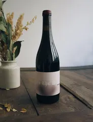 Into the Wine rouge 2016