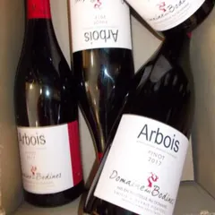 Pinot Bodines