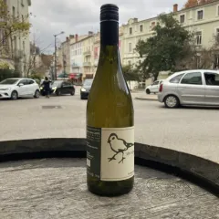 Vin Yône 11