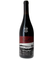 Pinotto - 2022 - Azienda Agricola Le Coste