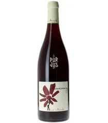 Cheverny Rouge - 2025 - Hervé Villemade