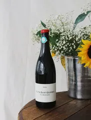 Nuits-Saint-Georges « Les Damodes » Rouge 2016