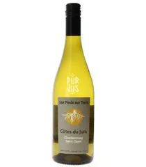 Chardonnay Saint Savin - 2023 - Les Pieds sur Terre