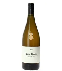 Feel Good - 2023 - Frédéric Cossard