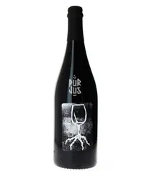 Vin pieds sous terre - 2023 - La Combe aux Rêves