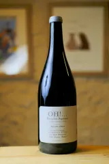 Domaine Les Bertrand - Beaujolais Supérieur - OH!... - Magnum
