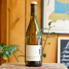 Sauvignon 2025 - Hervé Villemade