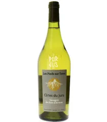 Savagnin Ouillé En Bois d'Arnaux - 2020 - Les Pieds sur Terre