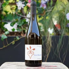 Terre Blanche 2023 - Noëlla Morantin