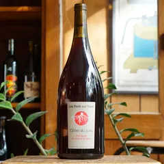 Poulsard Bois d'Arnaux 2023 Magnum - Valentin Morel