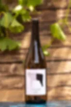 CORTO 2025 - Vin de France