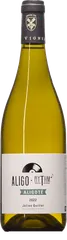 Aligo Rythm