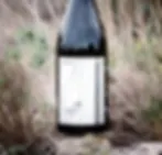 Vinception 2022