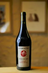 Valentin Morel - Poulsard Bois d'Arnaux