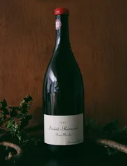 Magnum Saint Romain Sous Roche Rouge 2017