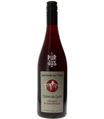 Poulsard En Bois d'Arnaux - 2025 - Les Pieds sur Terre