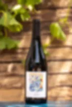 FRIDA 2021 - Vin de France