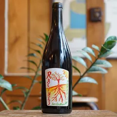 Racines Rouge 2020 - Les Cailloux du Paradis