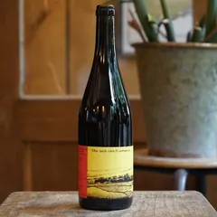 The Sun Can't Compare 2023 - Clos des Figuiers