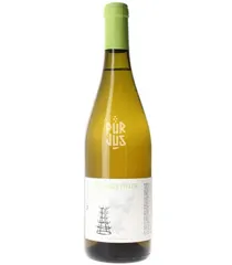 Readymus - 2023 - Fermenterre
