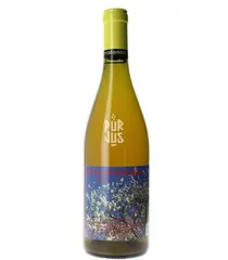 Blossom - 2025 - SCEA Domaine Matassa