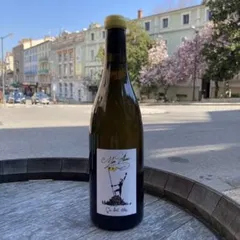 Mon blanc 2023- Marignan