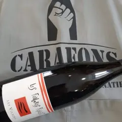 Les vilains