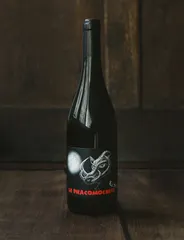 La Phacomochère Rouge 2015