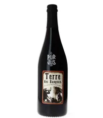 Terre des Rangoux - 2024 - La Combe aux Rêves